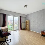 Rent 2 bedroom apartment in Kontich