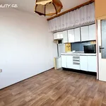 Rent 1 bedroom apartment in Teplice