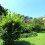 Rent 3 bedroom apartment of 94 m² in Novara