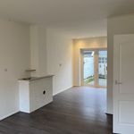 Rent 4 bedroom house of 79 m² in Welgelegen