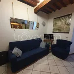 Rent 2 bedroom apartment of 38 m² in Siena