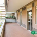 1-bedroom flat via Col di Lana 7, Castellanza