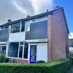 Rent 1 bedroom house of 17 m² in Groningen