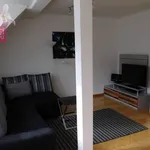 Rent 3 bedroom apartment of 102 m² in Vienna