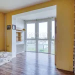 Rent 1 bedroom apartment of 41 m² in Plzeň