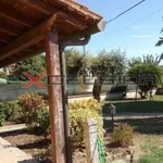 Rent 1 bedroom house of 180 m² in Cavarzere