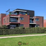 Rent 2 bedroom apartment of 86 m² in Hasselt