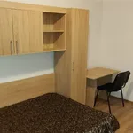 Rent 1 bedroom apartment in Craiova