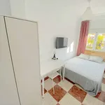 Rent a room in seville