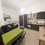 Rent 1 bedroom apartment of 40 m² in Adria