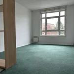 Appartement de 22 m² avec 1 chambre(s) en location à Dijon