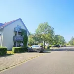 Rent 2 bedroom apartment of 75 m² in Leipzig