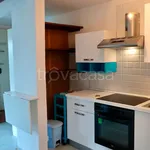 Rent 2 bedroom apartment of 59 m² in Firenze