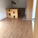 Rent 1 bedroom apartment in Brno