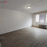 Rent 4 bedroom apartment of 92 m² in Jindřichův Hradec