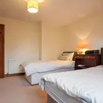 Rent a room of 350 m² in Shankill-Rathmichael DED 1986