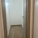 Rent 2 bedroom apartment of 55 m² in Napoli