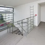 Pronajměte si 1 ložnic/e byt o rozloze 135 m² v Prague