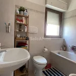 Rent 2 bedroom apartment of 45 m² in Nettuno