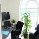 Rent 1 bedroom flat in Leicester