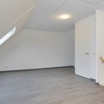 Rent 4 bedroom house of 103 m² in Tongelresche Akkers