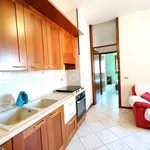 Rent 2 bedroom apartment of 53 m² in Rho