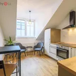 Rent 2 bedroom apartment of 39 m² in Plzeň