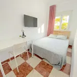 Rent a room in seville