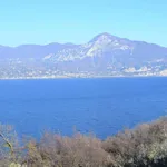 Rent 3 bedroom apartment of 75 m² in Torri del Benaco