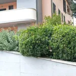 Affitto 2 camera appartamento di 40 m² in Rosignano Marittimo