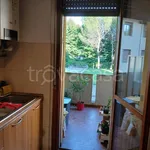 Rent 2 bedroom apartment of 60 m² in Seregno