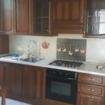 Rent 2 bedroom apartment of 55 m² in Mirandola