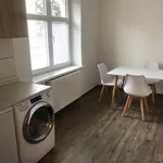 Rent 1 bedroom house in Prague