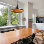 Rent 5 bedroom house of 146 m² in Haarlem