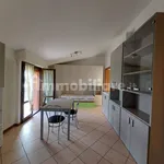 Rent 1 bedroom apartment of 40 m² in Bologna