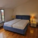 Rent 2 bedroom apartment of 55 m² in Milan