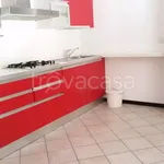 Rent 3 bedroom apartment of 100 m² in Padova