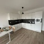 Rent 1 bedroom apartment of 59 m² in berlin