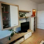 Rent 1 bedroom apartment in Ostrava