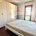 Rent 2 bedroom apartment of 50 m² in Busto Arsizio