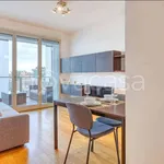 Rent 2 bedroom apartment of 50 m² in Milano