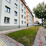 Rent 2 bedroom apartment of 50 m² in Sosnowiec