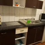 Rent 1 bedroom apartment in Lovnic