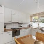 Rent 3 bedroom house of 125 m² in Breda