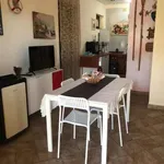 Rent 3 bedroom house of 50 m² in Catania