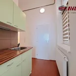 Rent 1 bedroom apartment in Opava