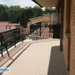 Rent 3 bedroom apartment of 113 m² in Rome