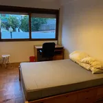 Rent 4 bedroom apartment in Porto