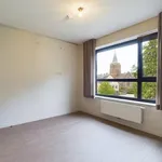 Flat - apartment for rent - Meeuwen