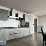 Rent 4 bedroom apartment of 145 m² in Turin